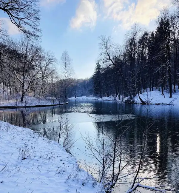 Зимний пейзаж в музее-заповеднике Царицыно