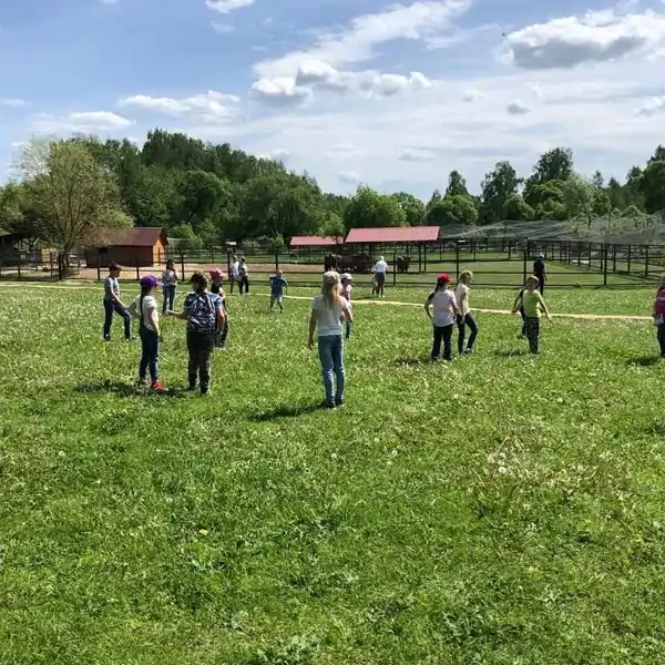 дети гуляют по парк птиц воробьев